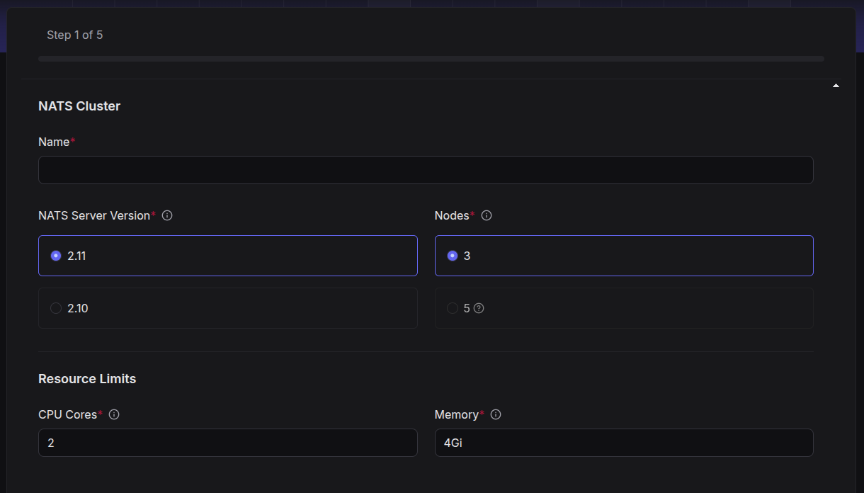 NATS Cluster Options